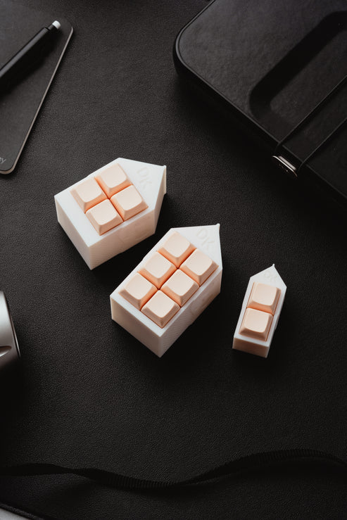 DK Carton Fidget Toy